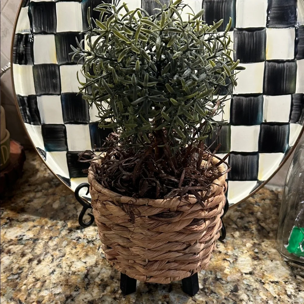 Woven Basket Planter with Topiary.